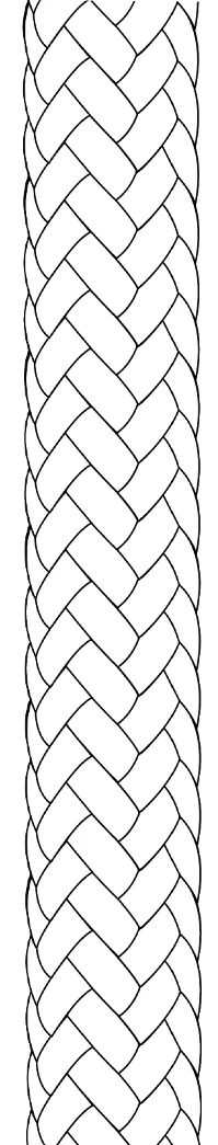 Evolution Race 78 rope in White
