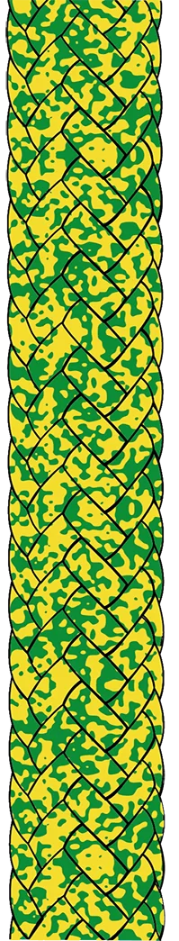 Racing Dyneema 78 Pro Sheet rope in Green - Natural