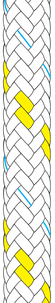 braid-on-braid-yellow-fleck